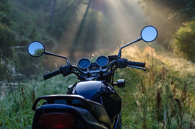motorka v lese